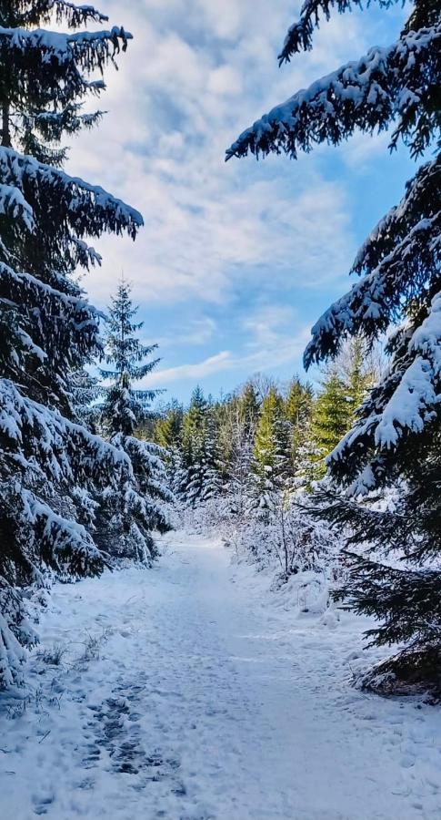 Apartman Lipno - Dve Zatoky Frymburk Exteriör bild